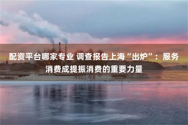 配资平台哪家专业 调查报告上海“出炉”：服务消费成提振消费的重要力量