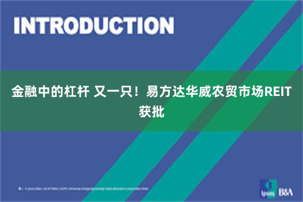 金融中的杠杆 又一只！易方达华威农贸市场REIT获批