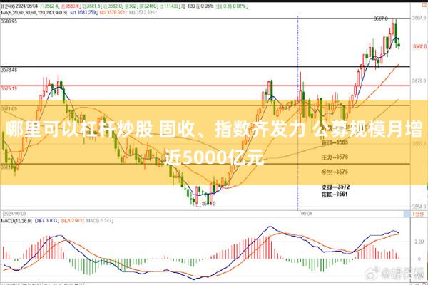 哪里可以杠杆炒股 固收、指数齐发力 公募规模月增近5000亿元