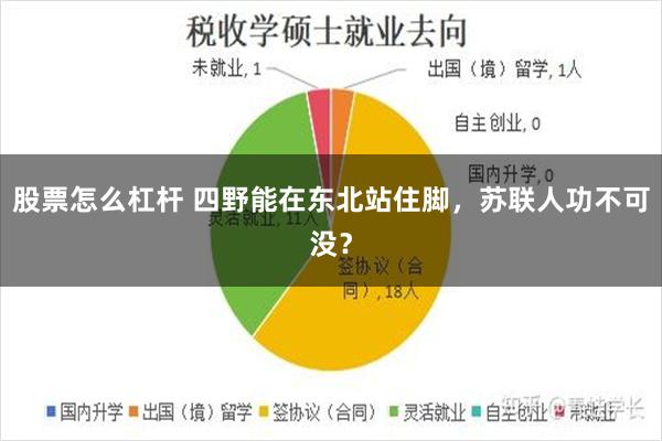 股票怎么杠杆 四野能在东北站住脚，苏联人功不可没？