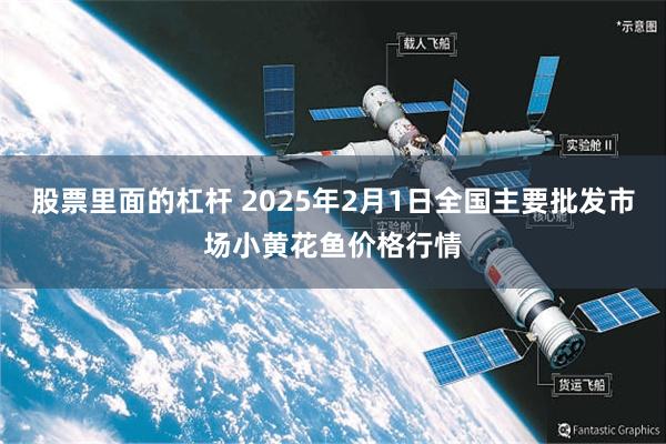 股票里面的杠杆 2025年2月1日全国主要批发市场小黄花鱼价格行情