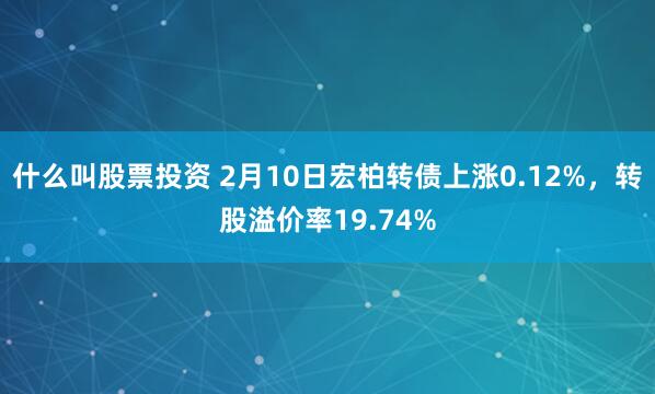 什么叫股票投资 2月10日宏柏转债上涨0.12%，转股溢价率19.74%