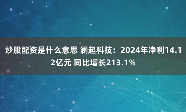 炒股配资是什么意思 澜起科技：2024年净利14.12亿元 同比增长213.1%