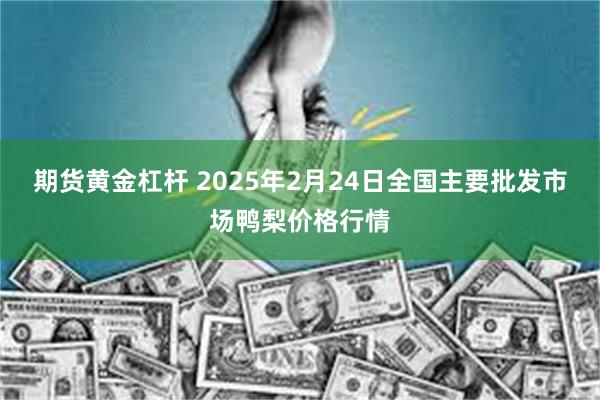 期货黄金杠杆 2025年2月24日全国主要批发市场鸭梨价格行情