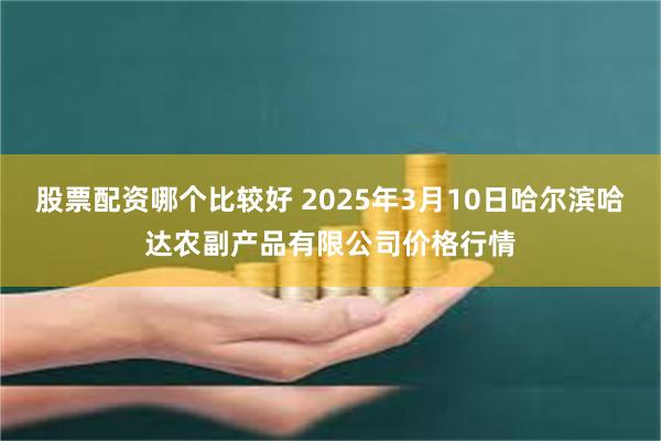 股票配资哪个比较好 2025年3月10日哈尔滨哈达农副产品有限公司价格行情